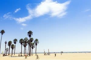 California Private Investigation