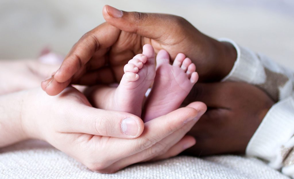 Adoption Investigators