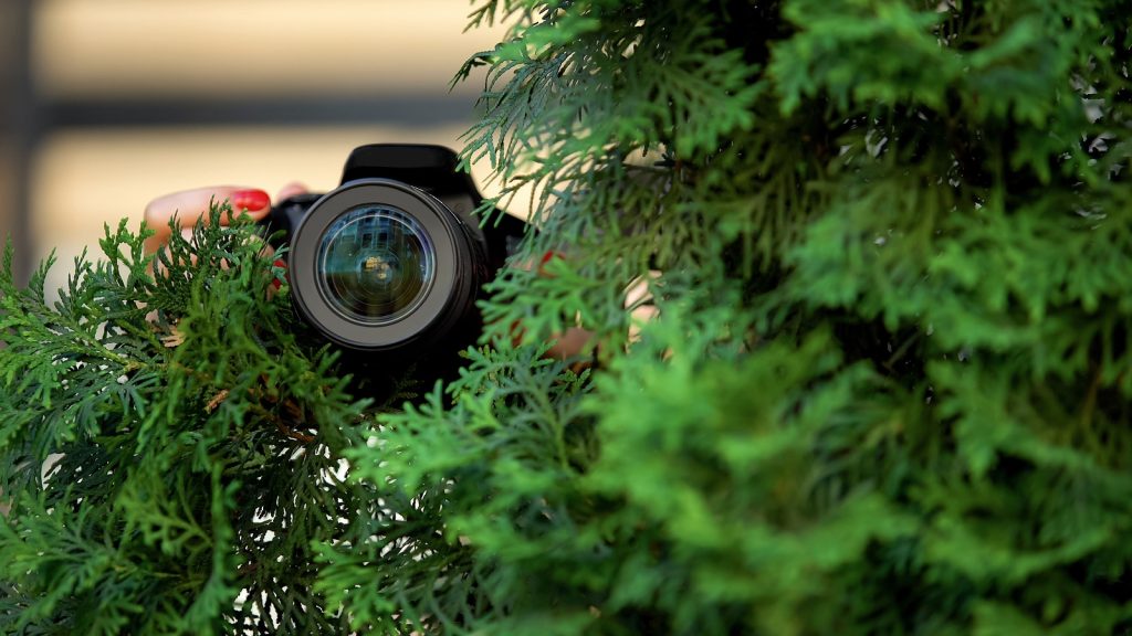 Surveillance Services