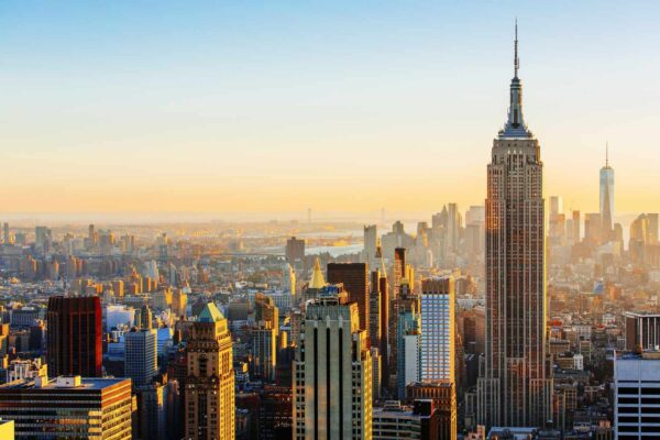 New York PI
