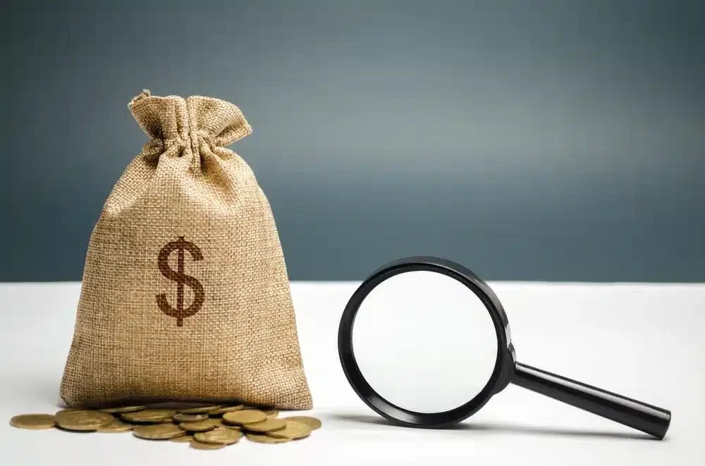 Are There Any Limitations or Risks Involved With an Asset Search?