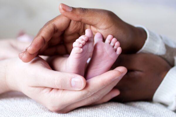 Adoption Investigators