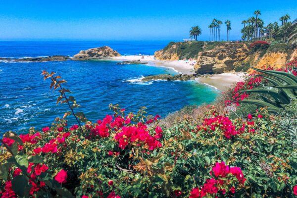 Private Investigator Orange County