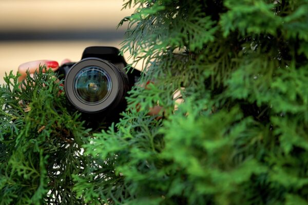 Surveillance Services